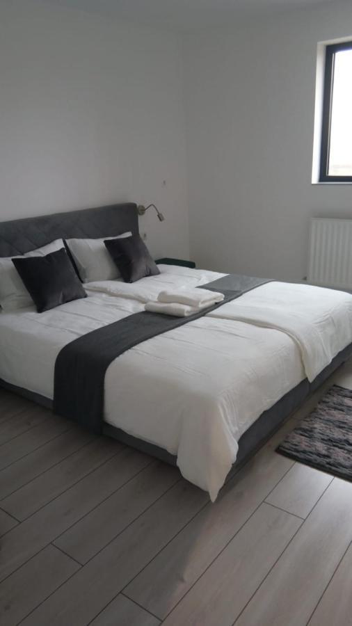 Apartalux Oradea Apartment Ngoại thất bức ảnh
